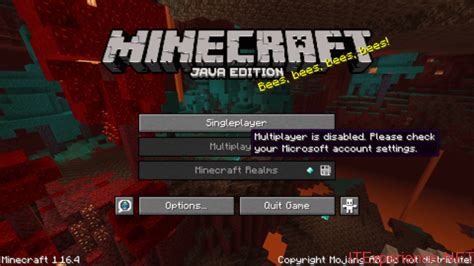 Why is Multiplayer Disabled on Minecraft: Unraveling the Mysteries of Blocky Isolation